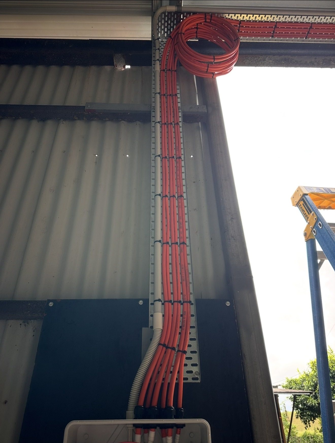 Orange conduit runs clipped along a cable tray down a shed wall into a distribution enclosure